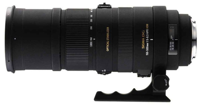 Sigma Canon Lens Advisory