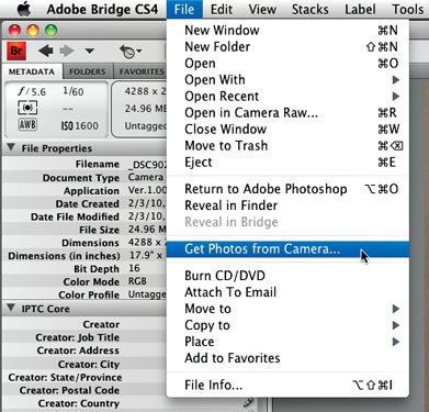 Typepad Import Image
