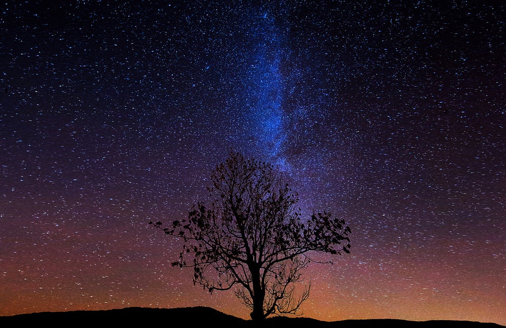 Today's Photo of the Day comes from Flickr user Kwscore. Unfortunately we can't tell you much about the gear he used to shoot this starry sky and single tree, but we're big fans of the center framing on the tree. See more of his work <a href="http://www.flickr.com/photos/kwscore/">here. </a>