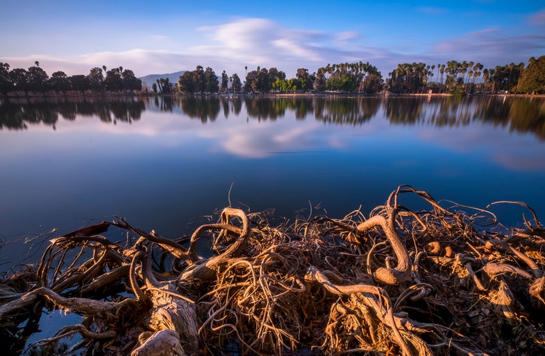 Today's Photo of the Day comes from Dang Nguyen and was taken on the shore of Lake Evans in Riverside, California with a Fujifilm X-T1
 and a XF 10-24mmF/4 R OIS lens. Nguyen used a long 42 second exposure at f/16 and ISO 400 to capture the lakeside scene. See more work <a href="https://www.flickr.com/photos/dangpix/">here.</a>