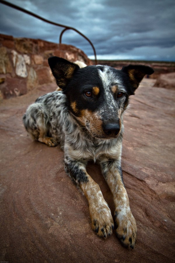 Ancient Worlds: Canyon De Chelly National Monument