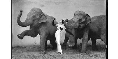 Q&A with Andy Patrick Q&A with Andy Patrick