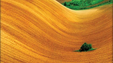 Photo of the Day: Tuesday November 17 2009