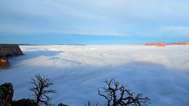 Grand Canyon Inversion