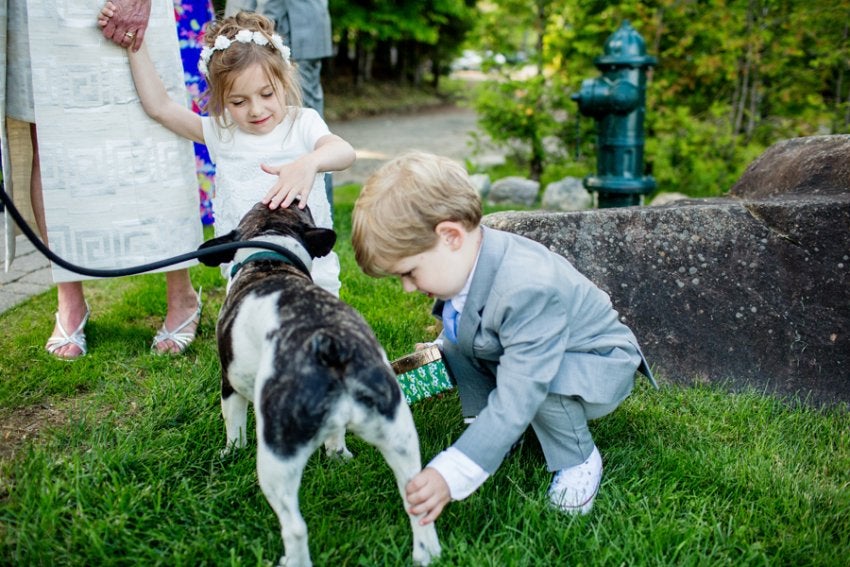 How-To: Include Pets In Wedding and Engagement Portraits