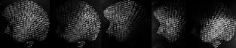 Reflectance printing