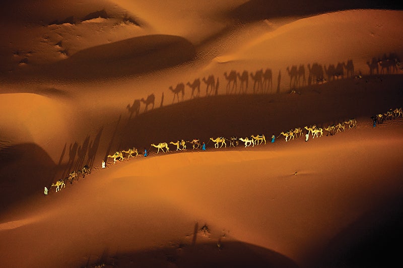 Camel Trail, Sahara Desert