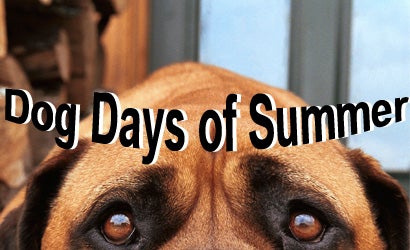 Dog-Days-of-Summer