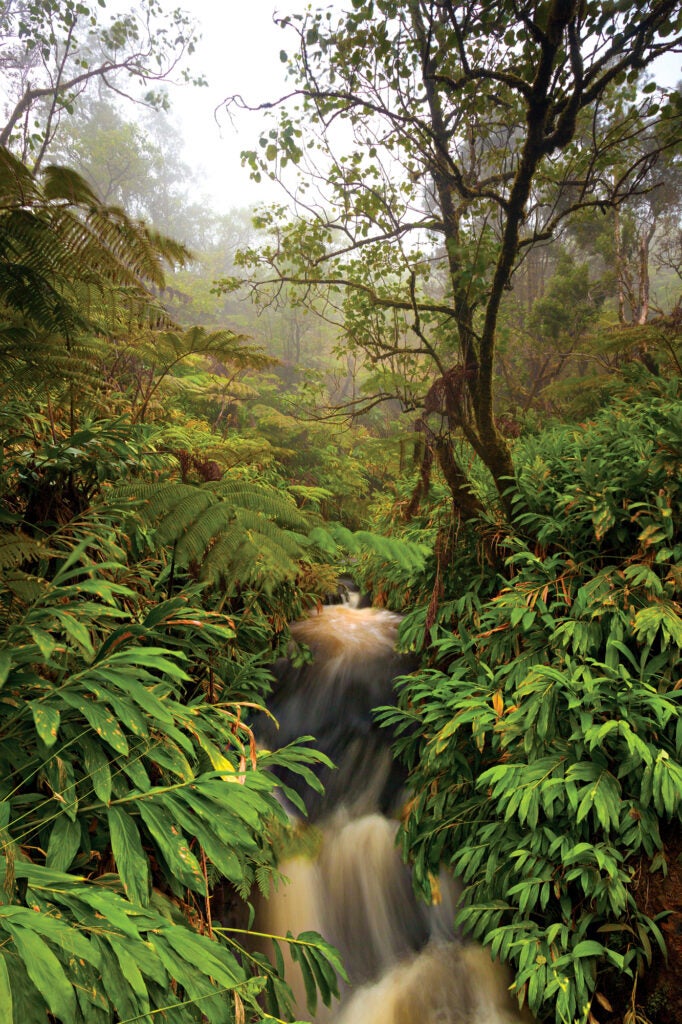 Photographer's Guide to Hawaii