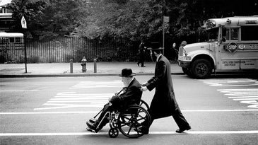 Photo of the Day: Wednesday November 18 2009
