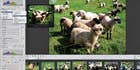Review: Apple Aperture 3 Review: Apple Aperture 3