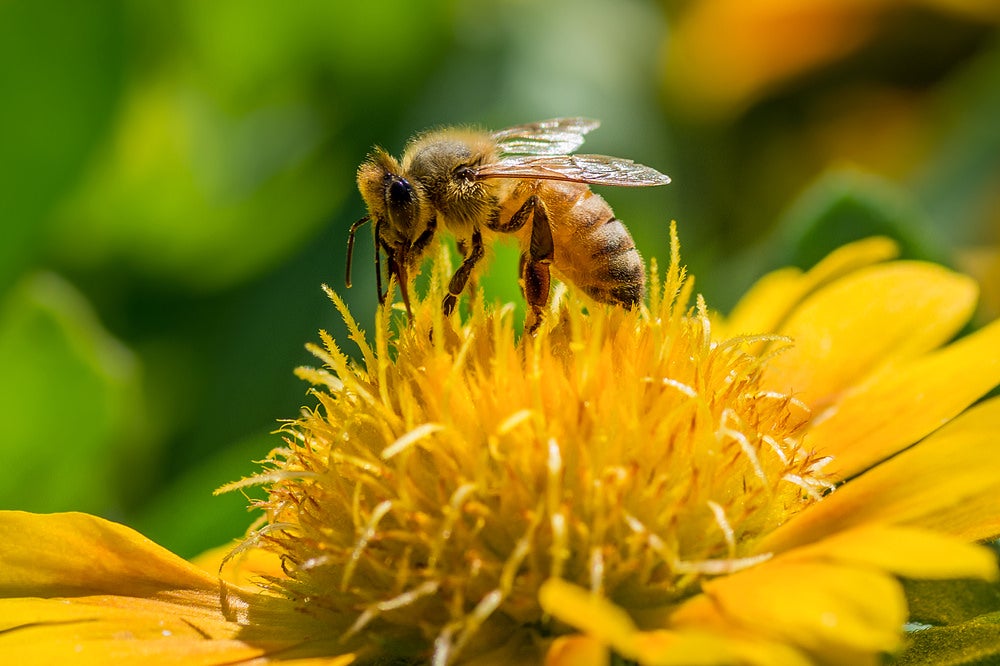 Today's Photo of the Day was taken by John Ernst during a visit to the Brookside Gardens in Wheaton, MD using a Nikon D7100
with a 100mm f/2.8 lens at 1/640 sec, f/9 and ISO 400. See more of Ernst's work <a href="https://www.flickr.com/photos/128702929@N03/">here.</a>