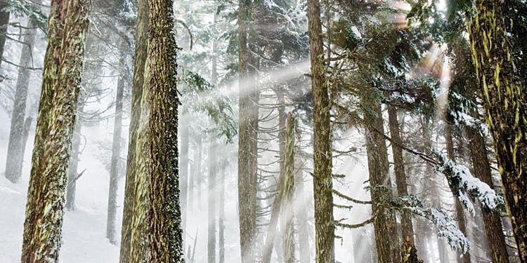 How To: Use Fog and Mist to Your Advantage in Landscape Photography How To: Use Fog and Mist to Your Advantage in Landscape Photography