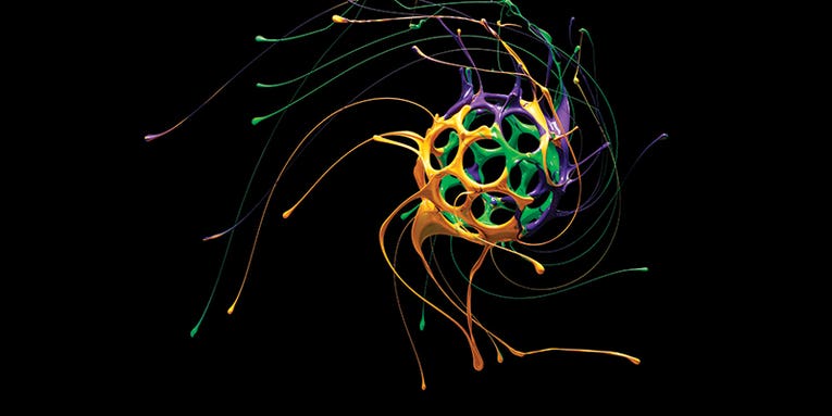 Behind the Shot: Peter Schafrick’s Spinning Paint Photo Behind the Shot: Peter Schafrick’s Spinning Paint Photo