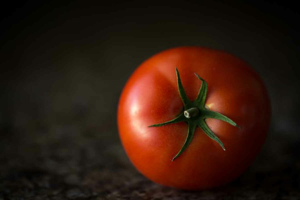 Fresh From The Garden, Red, Ripe, And Juicy Tomato. Summer's Best. Canon 5D M3 100L Macro ISO 1250 F2.8 1/60