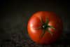 Fresh From The Garden, Red, Ripe, And Juicy Tomato. Summer's Best. Canon 5D M3 100L Macro ISO 1250 F2.8 1/60