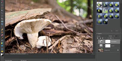 Software Review: Adobe Photoshop Elements 6 Software Review: Adobe Photoshop Elements 6