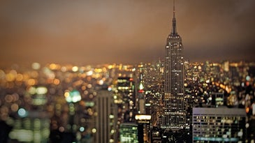 Photo of the Day: Friday January 08 2010