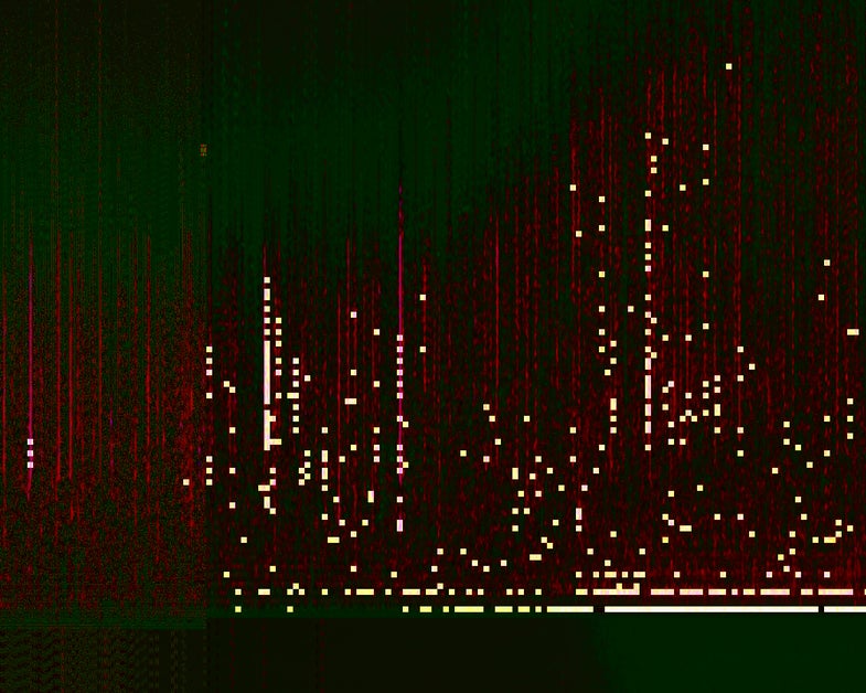 Year of the glitch