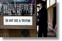 Typepad Import Image