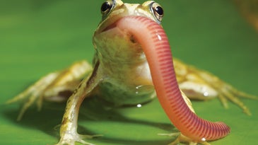 Tips From a Pro: An Intro the Tiny World of Macro Photography