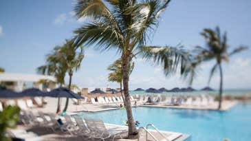 Sample Image Gallery: Rokinon T-S 24mm F/3.5 Tilt-Shift Lens Sample Image Gallery: Rokinon T-S 24mm F/3.5 Tilt-Shift Lens