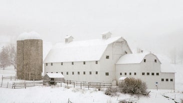 How To: Make Great Pictures in Winter Weather