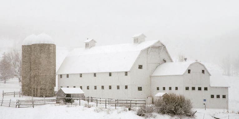 How To: Make Great Pictures in Winter Weather