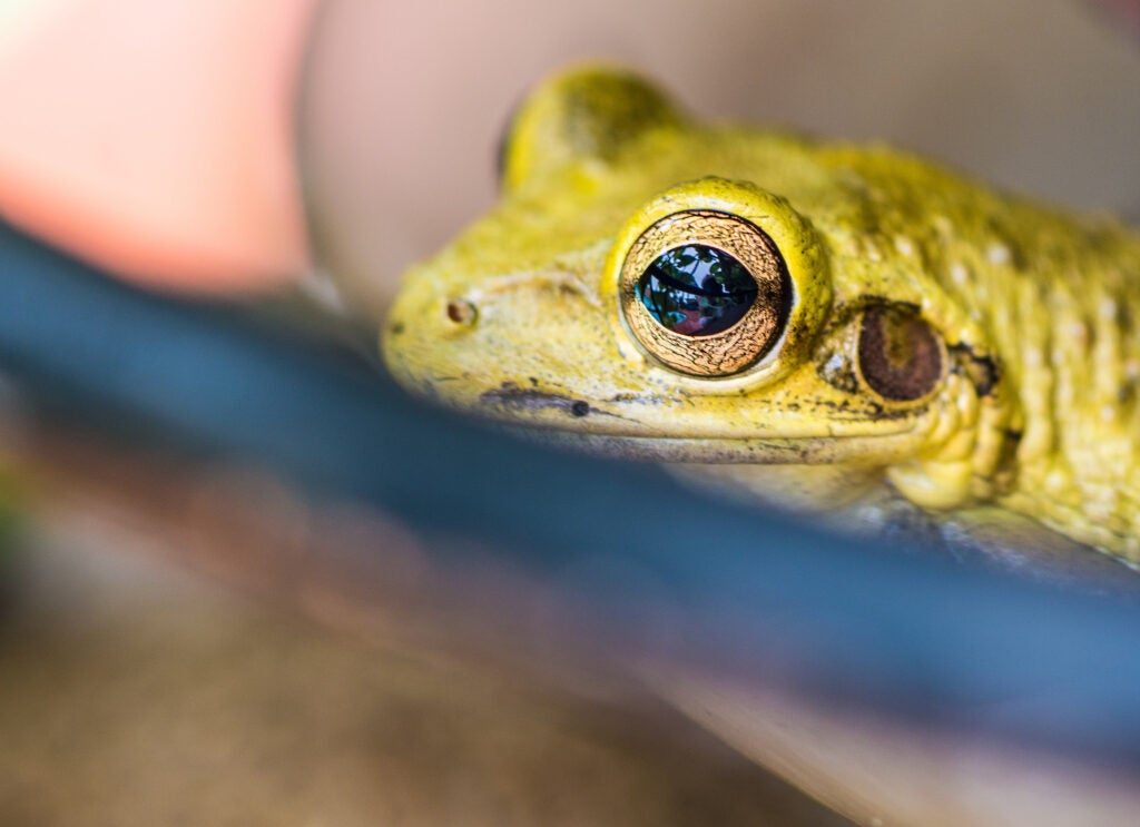 Today's Photo of the Day comes from Barbara King and was taken with a Nikon D610 with an 105.0 mm f/2.8 lens at 1/60 sec, f/4.5 and ISO 100. See more of King's work <a href="https://www.flickr.com/photos/49347612@N07/">here. </a>