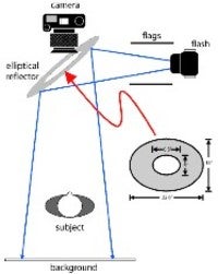 Typepad Import Image