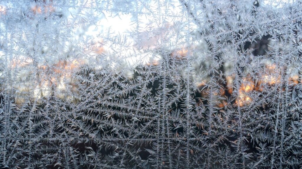 Sunrise Frost