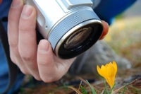 Typepad Import Image