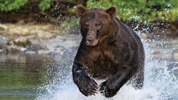 Recognizing good light for nature photography