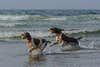 Happy Day at the Beach