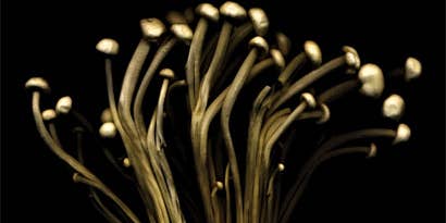 You Can Do It: Flower Art You Can Do It: Flower Art