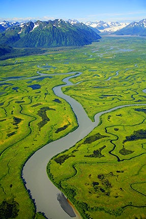 Before-They-re-Gone-The-Copper-River-Delta-is-a-m