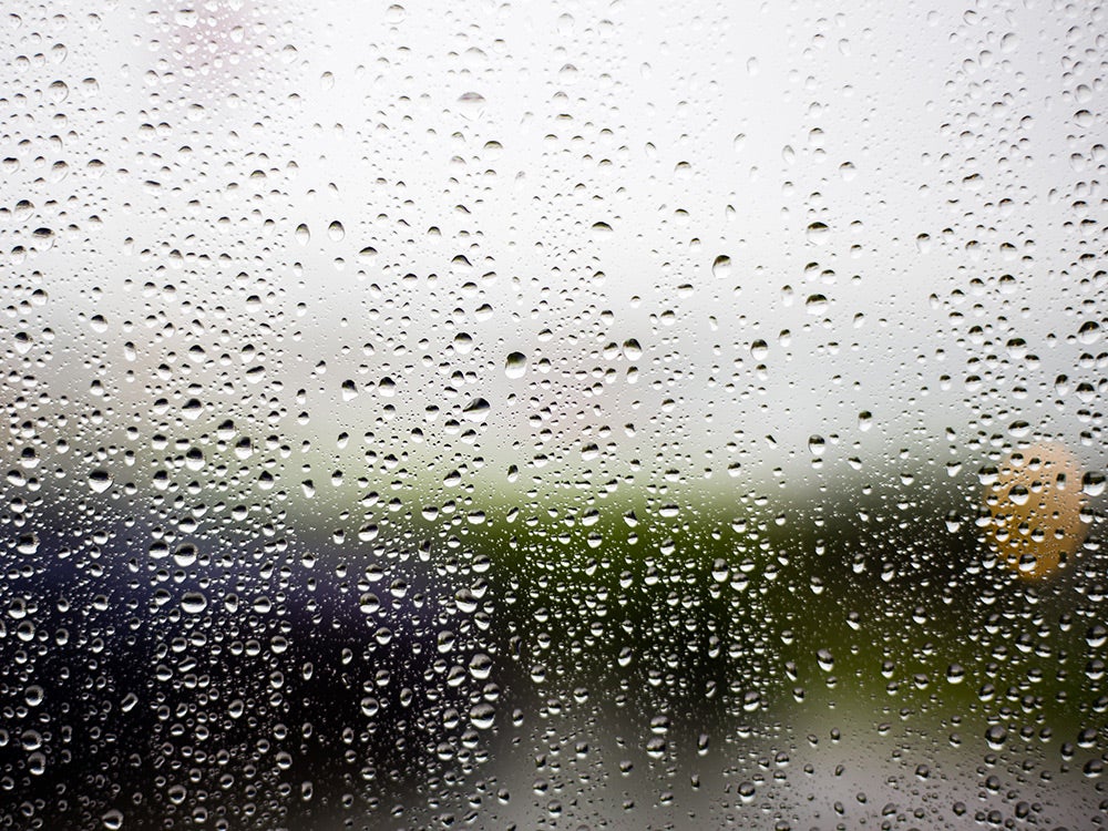 raindrops on the window