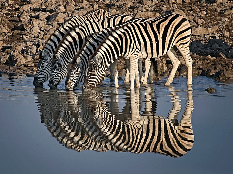 John Isaac: The Passion of a U.N. Photographer