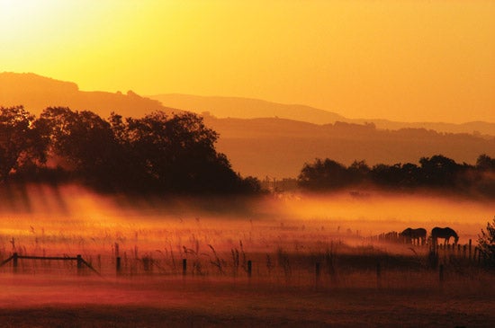 14th-Annual-Reader-s-Photo-Contest-Nature-Runner