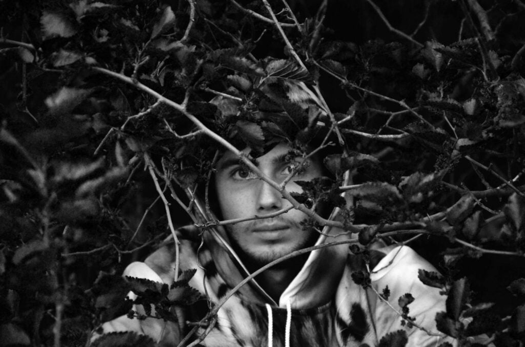 Casey in the bushes