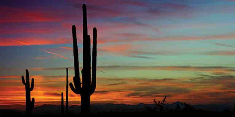 Photo Workshop: Tucson Photo Workshop: Tucson
