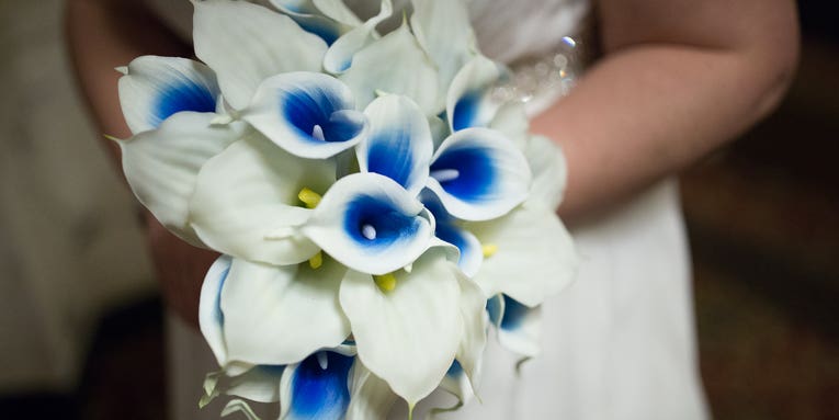 Consumer Reports Doesn’t Understand Why Wedding Photography Costs More Consumer Reports Doesn’t Understand Why Wedding Photography Costs More