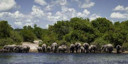 Mentor Series: Botswana Photo Safari