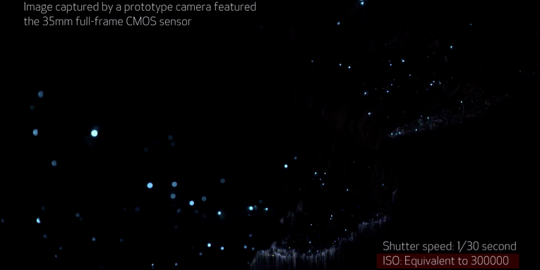 Canon Shows Off Prototype Full-Frame Sensor With Super-High Sensitivity Canon Shows Off Prototype Full-Frame Sensor With Super-High Sensitivity