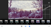 Snapseed photo editing app with curves