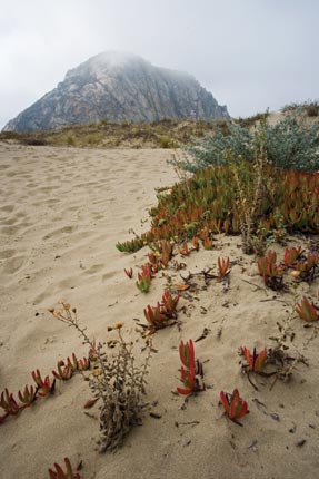 Location-Morro-Bay-Tech-Info-Tripod-mounted-Can