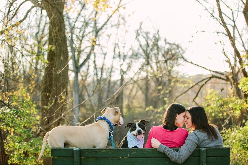 How-To: Include Pets In Wedding and Engagement Portraits