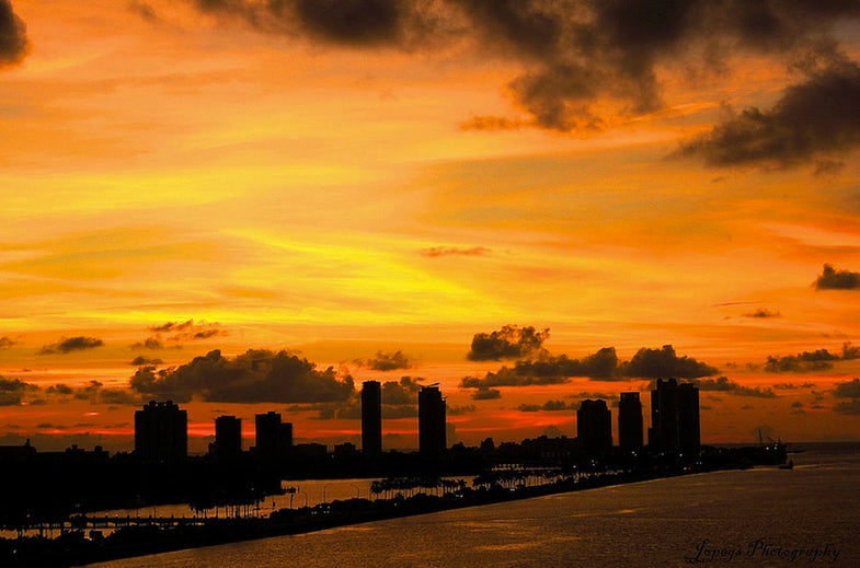 Flickr-user Peggy made this beautiful photo in Miami as the sun was rising. See more of her work on <a href="http://www.flickr.com/photos/jopegs/">Flickr</a>. <em>Want your work featured as our next Photo of the Day? Submit your best images to our <a href="http://www.flickr.com/groups/1614596@N25/pool/">Flickr group</a>, for a chance to be picked.</em>