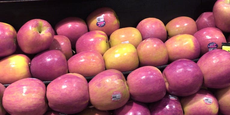 Color Binocular App Uses a Smartphone Camera to Assist the Colorblind Color Binocular App Uses a Smartphone Camera to Assist the Colorblind