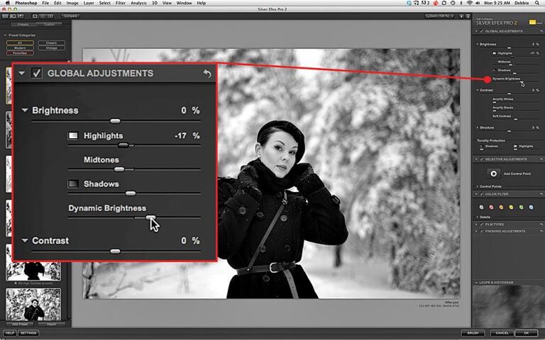 nik silver efex pro 2 presets downloads nik silver efex pro 2 presets downloads